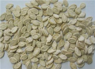 Chinese Waxgourd Seed