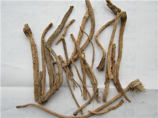 Divaricate Saposhnikovia Root