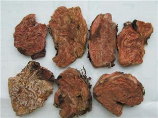 Rhodiola Root