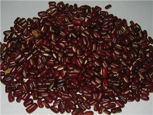 Rice Bean Seed
