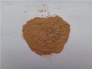 Cordyceps mycelium powder