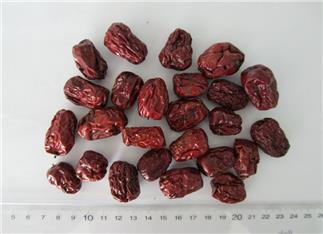 Jujube Fruit