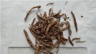 Wolfberry Root-Bark