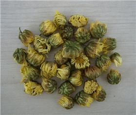 Chrysanthemum Flower