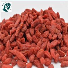 Goji berry