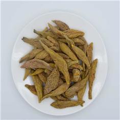 Aromatic Turmeric Root