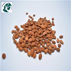 Bitter Apricot Seed　