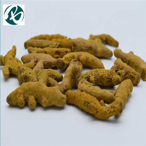 Turmeric China Extract,Health Food Material,Spice,Herb Tea Material