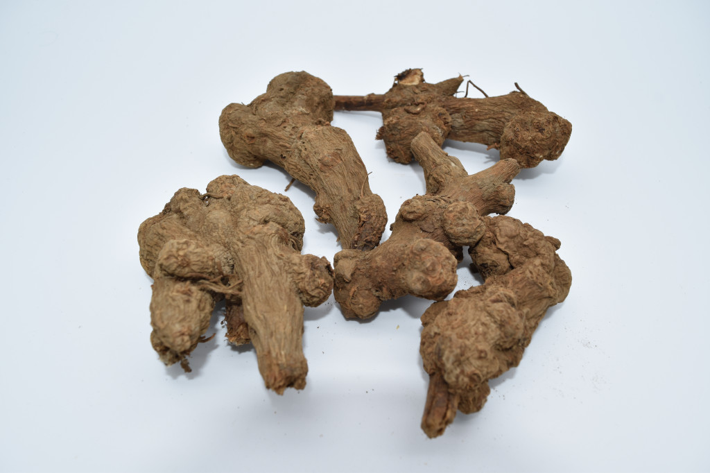 Atractylodes Rhizome