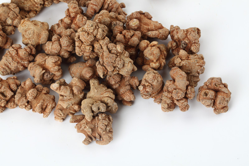 Notoginseng Root